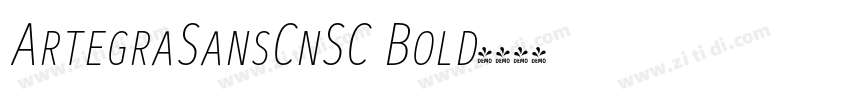 ArtegraSansCnSC Bold字体转换